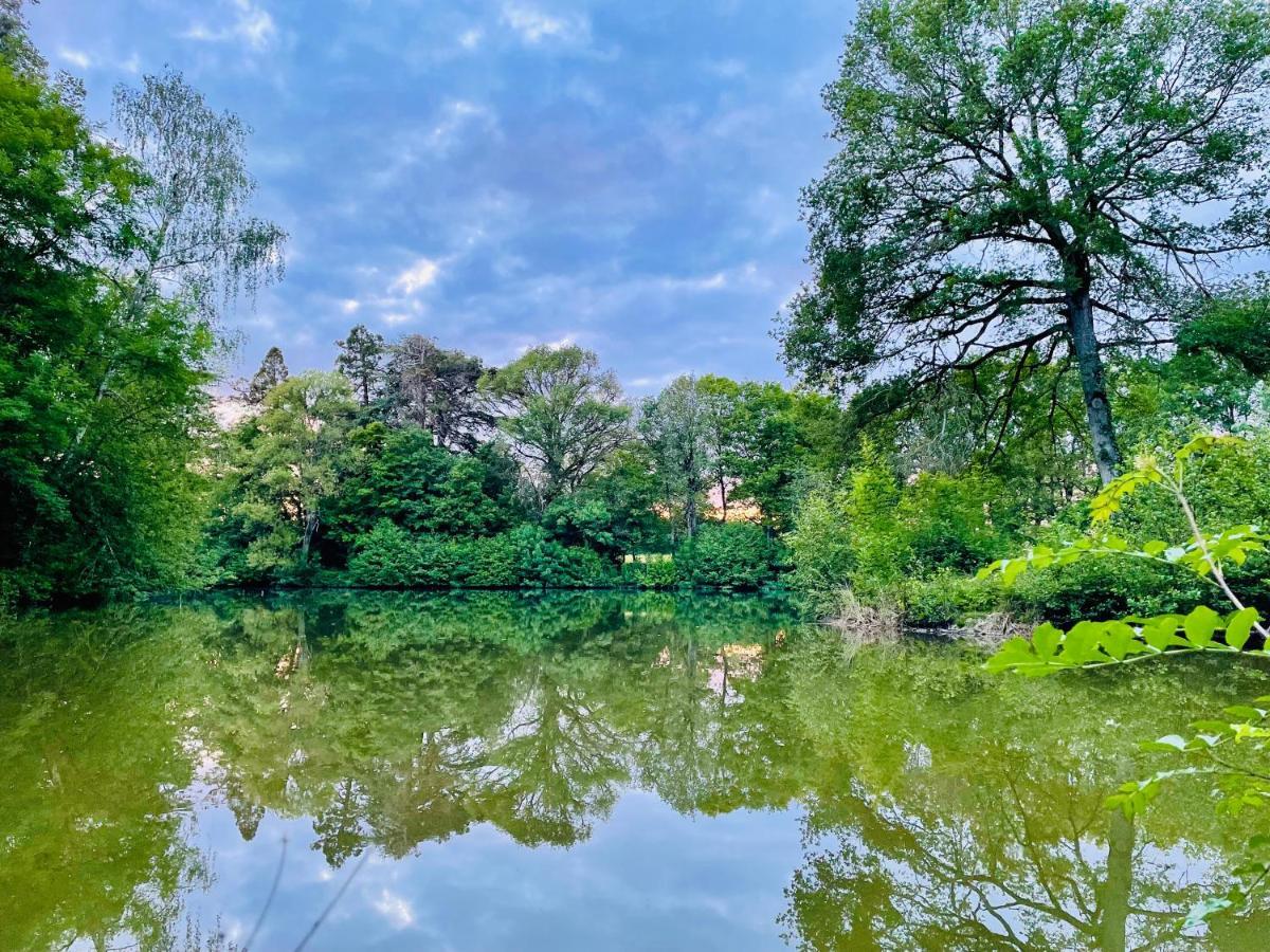 Вілла Chateau De La Jumelliere Екстер'єр фото